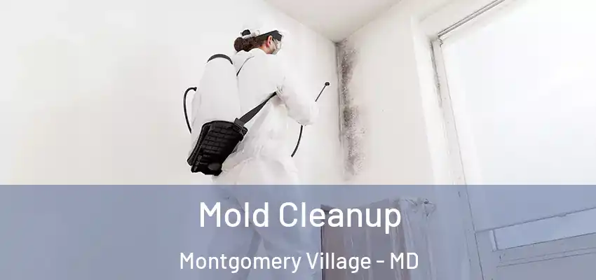 Mold Cleanup Montgomery Village - MD