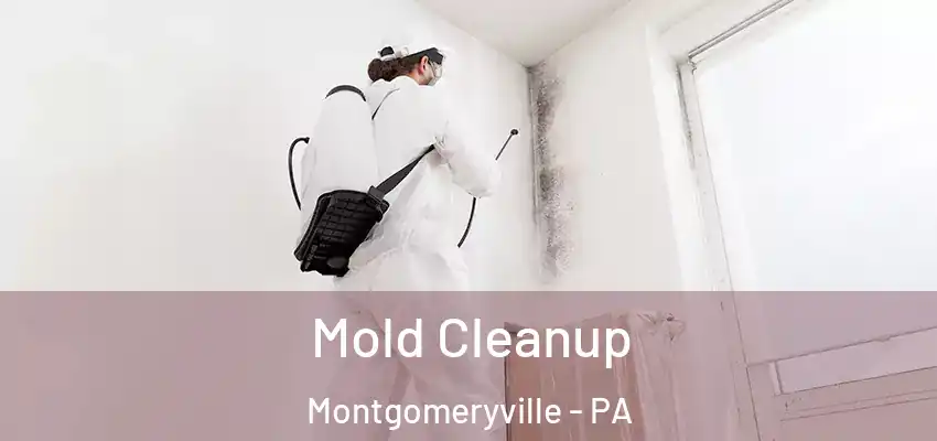 Mold Cleanup Montgomeryville - PA