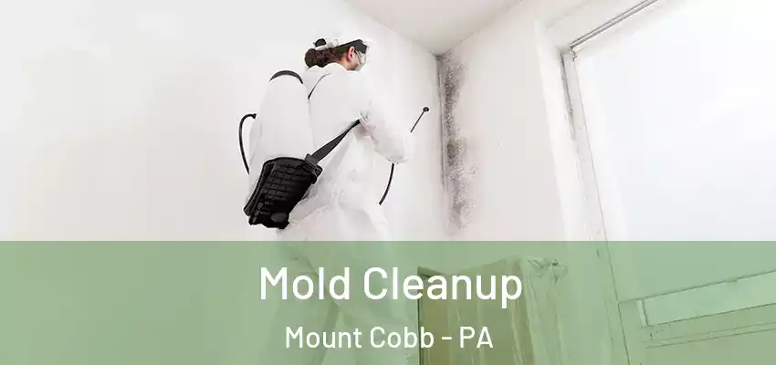 Mold Cleanup Mount Cobb - PA