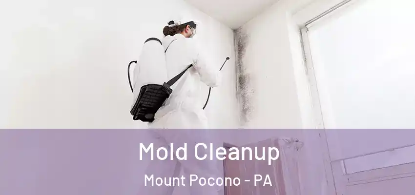 Mold Cleanup Mount Pocono - PA