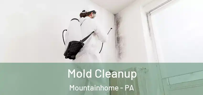  Mold Cleanup Mountainhome - PA