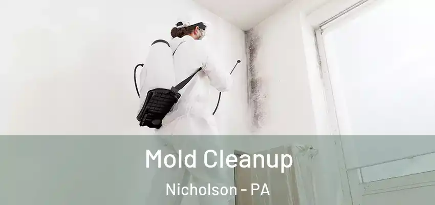 Mold Cleanup Nicholson - PA