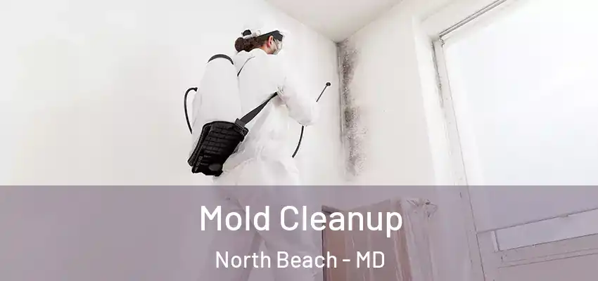 Mold Cleanup North Beach - MD