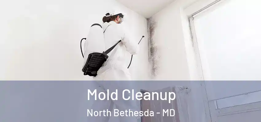 Mold Cleanup North Bethesda - MD