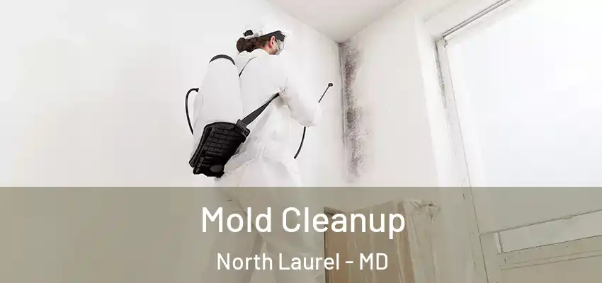 Mold Cleanup North Laurel - MD