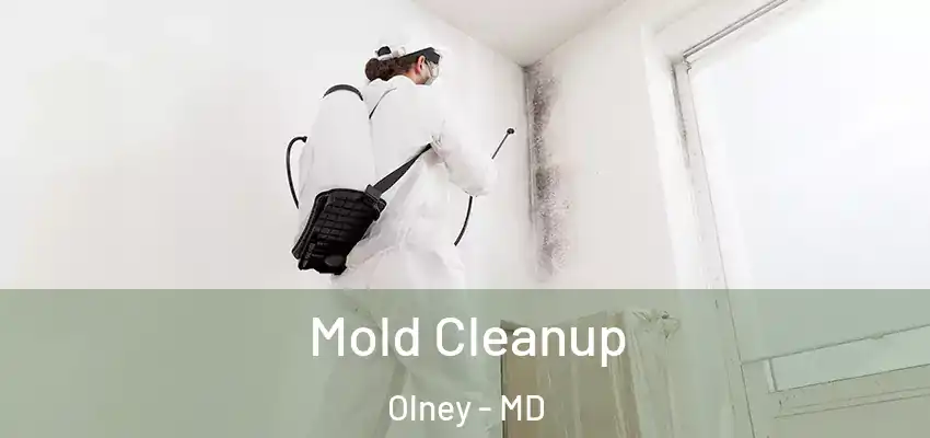 Mold Cleanup Olney - MD