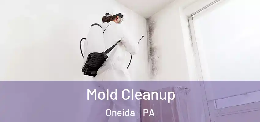 Mold Cleanup Oneida - PA