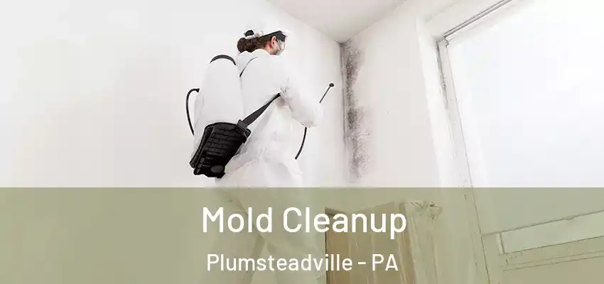 Mold Cleanup Plumsteadville - PA