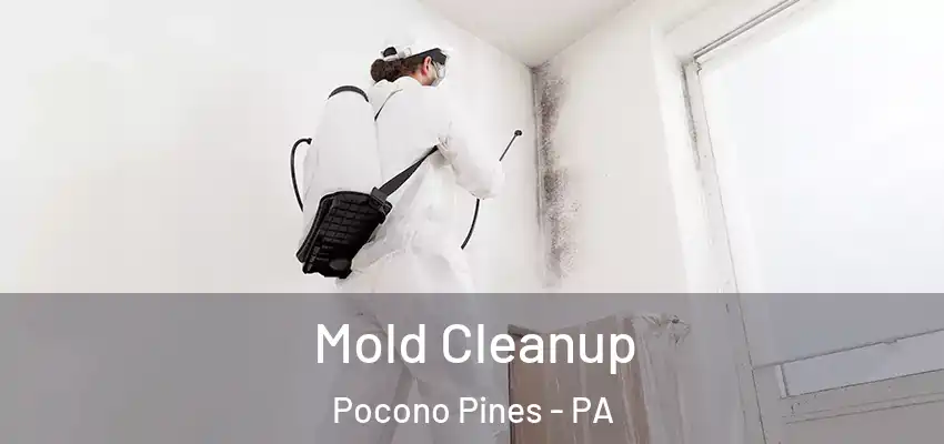  Mold Cleanup Pocono Pines - PA