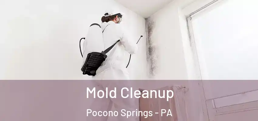 Mold Cleanup Pocono Springs - PA