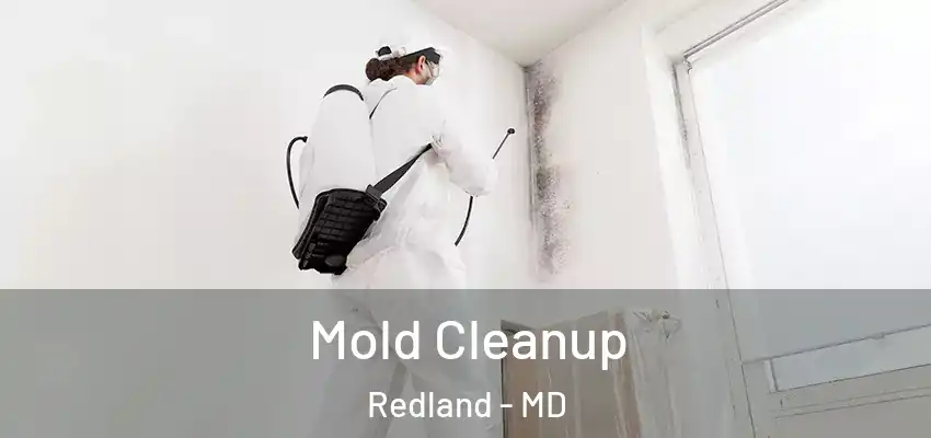Mold Cleanup Redland - MD