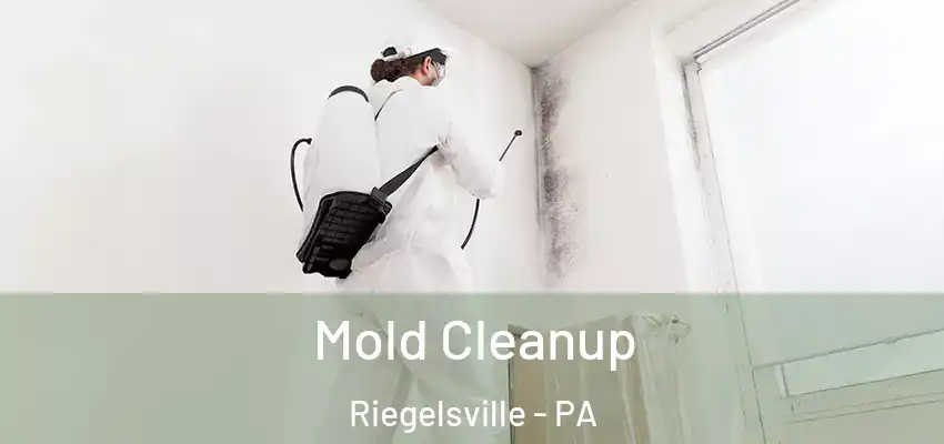 Mold Cleanup Riegelsville - PA