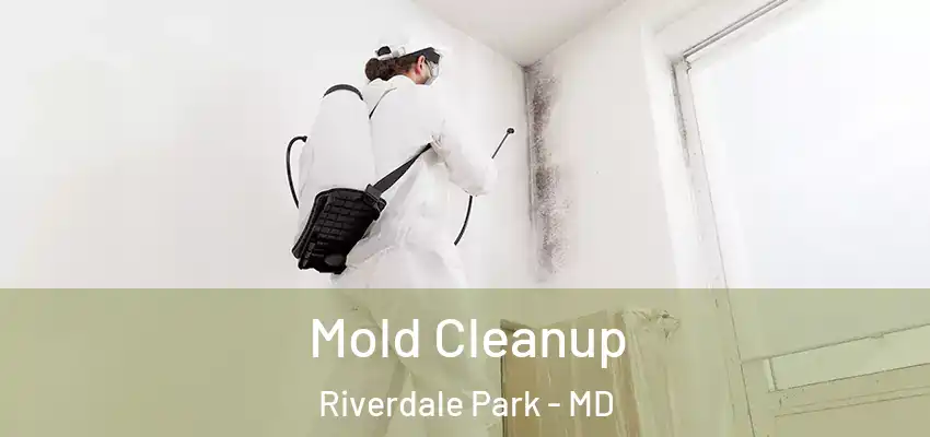 Mold Cleanup Riverdale Park - MD
