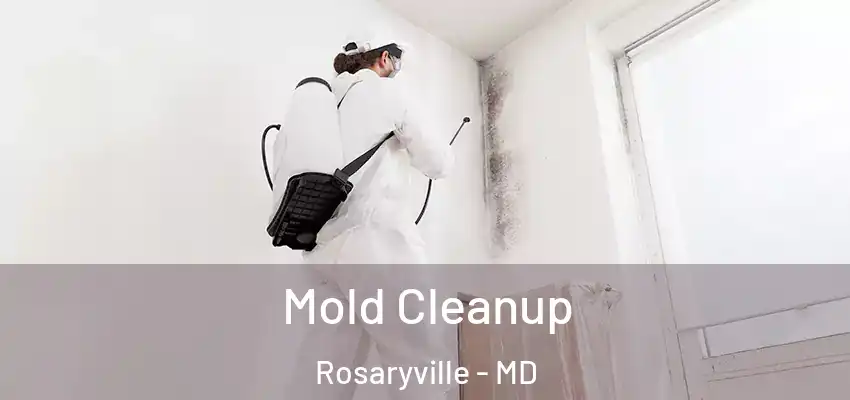 Mold Cleanup Rosaryville - MD