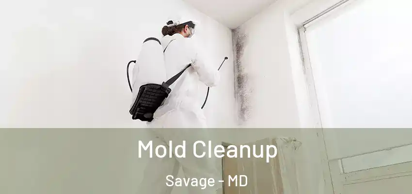  Mold Cleanup Savage - MD