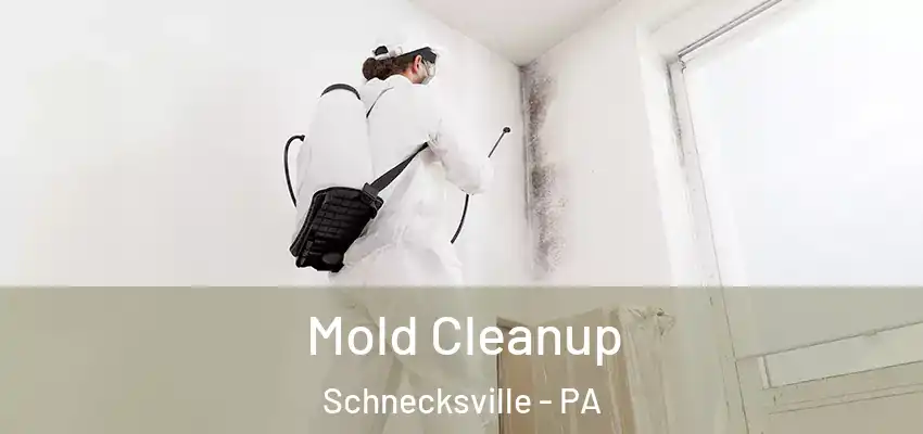 Mold Cleanup Schnecksville - PA
