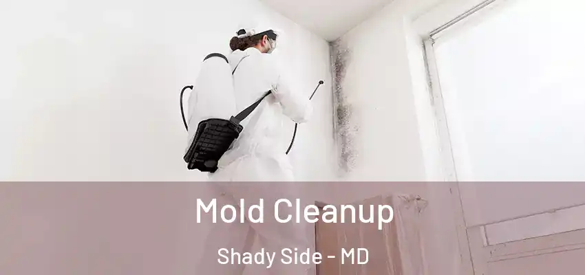  Mold Cleanup Shady Side - MD