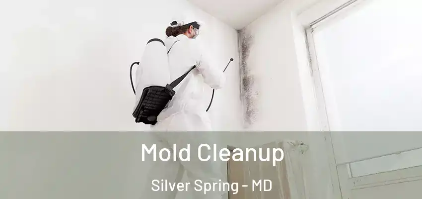 Mold Cleanup Silver Spring - MD