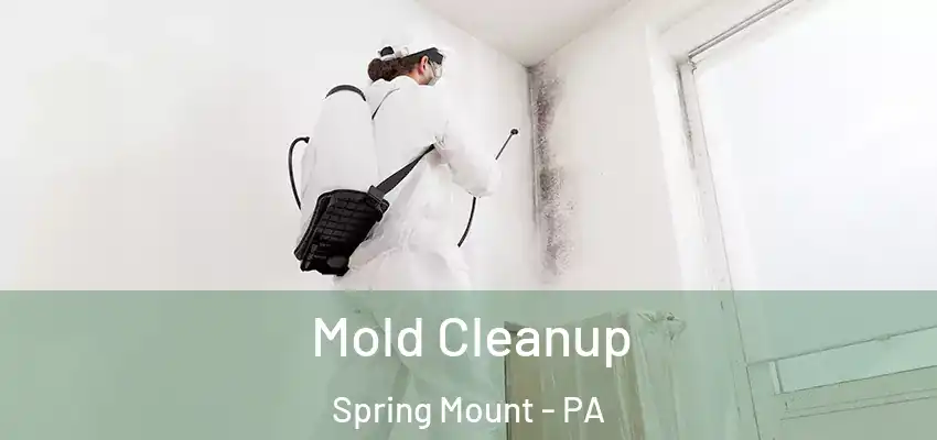 Mold Cleanup Spring Mount - PA