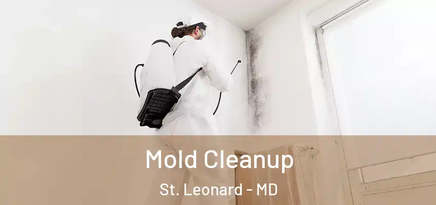 Mold Cleanup St. Leonard - MD