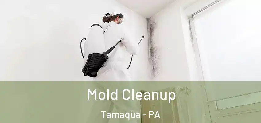 Mold Cleanup Tamaqua - PA