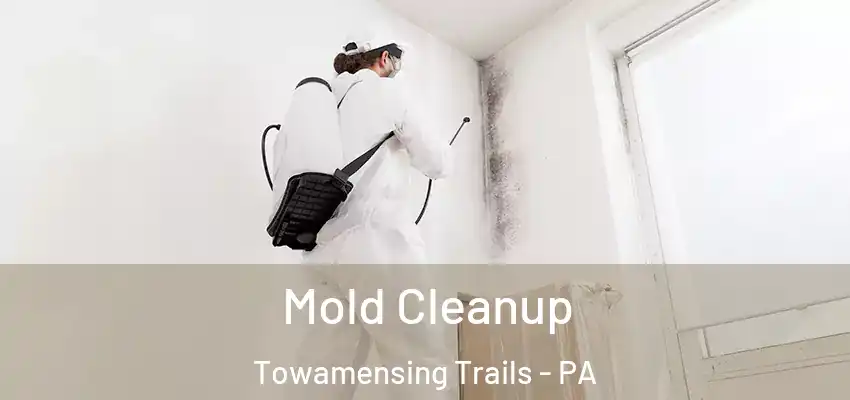 Mold Cleanup Towamensing Trails - PA