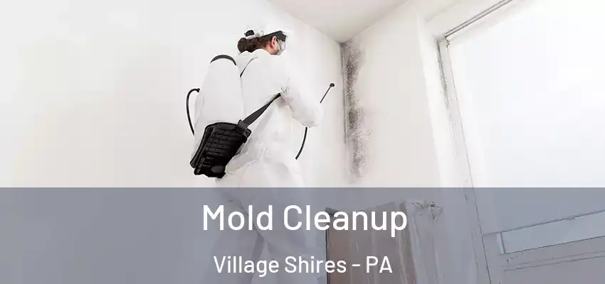  Mold Cleanup Village Shires - PA