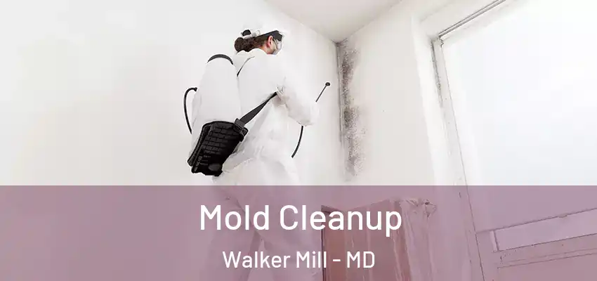 Mold Cleanup Walker Mill - MD