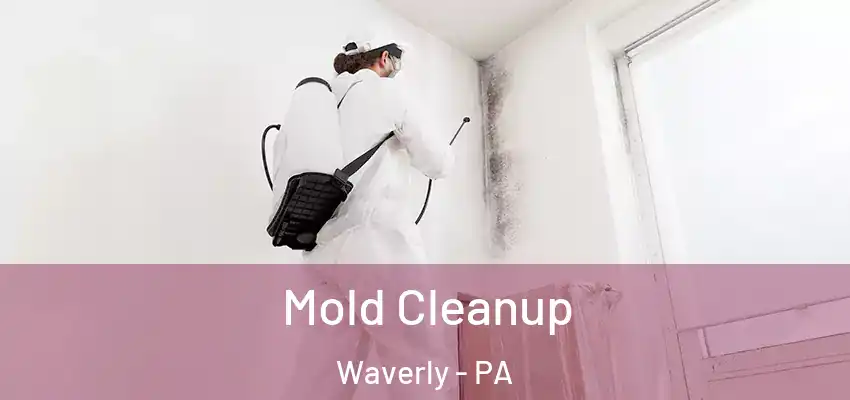  Mold Cleanup Waverly - PA