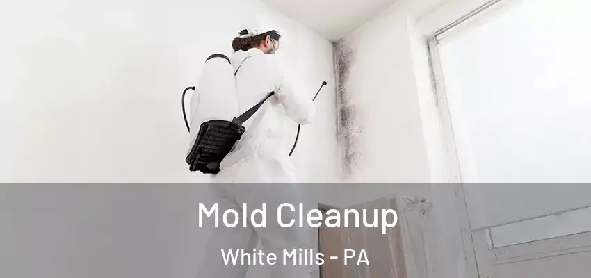  Mold Cleanup White Mills - PA