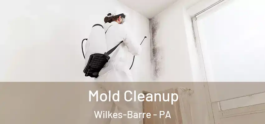 Mold Cleanup Wilkes-Barre - PA