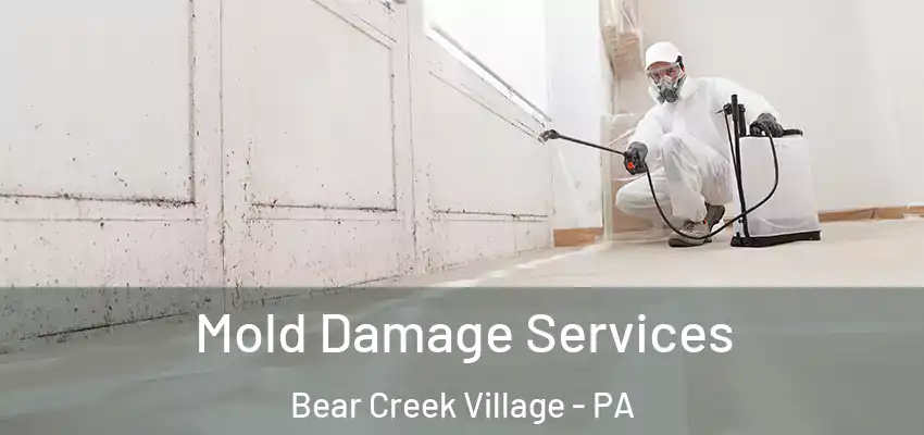 Mold Damage Services Bear Creek Village - PA