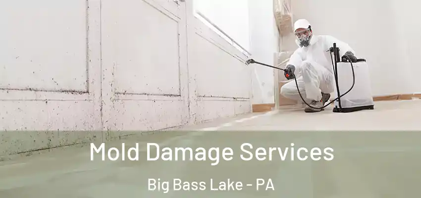 Mold Damage Services Big Bass Lake - PA