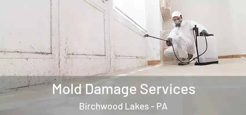 Mold Damage Services Birchwood Lakes - PA