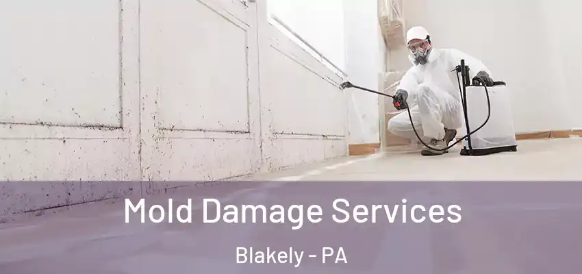 Mold Damage Services Blakely - PA