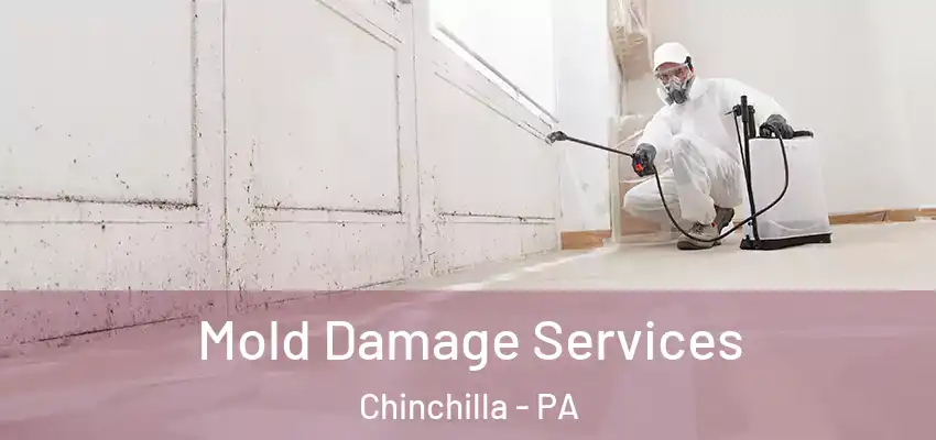  Mold Damage Services Chinchilla - PA