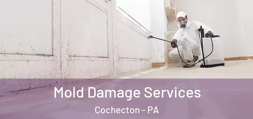 Mold Damage Services Cochecton - PA