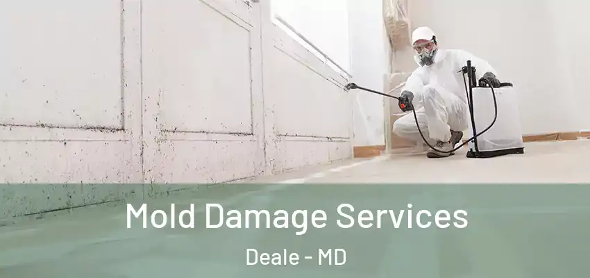 Mold Damage Services Deale - MD