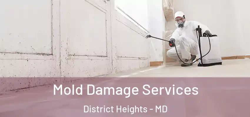 Mold Damage Services District Heights - MD
