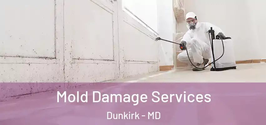 Mold Damage Services Dunkirk - MD