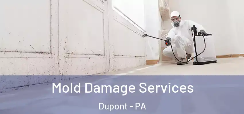 Mold Damage Services Dupont - PA