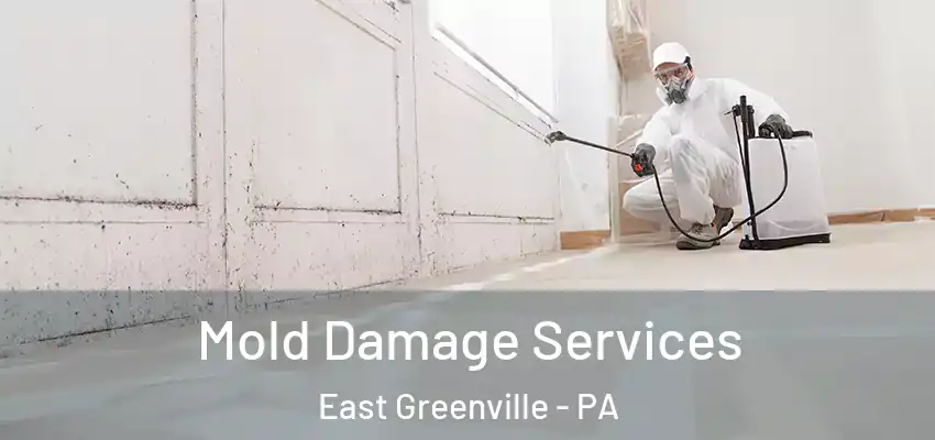 Mold Damage Services East Greenville - PA