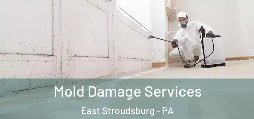 Mold Damage Services East Stroudsburg - PA
