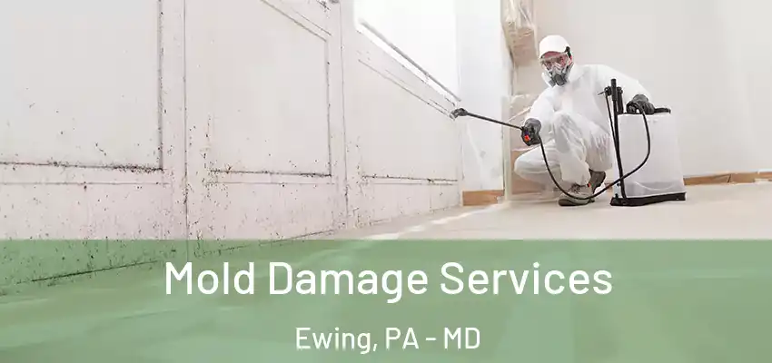  Mold Damage Services Ewing, PA - MD