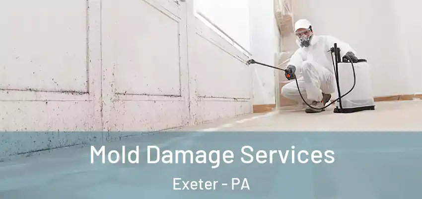 Mold Damage Services Exeter - PA