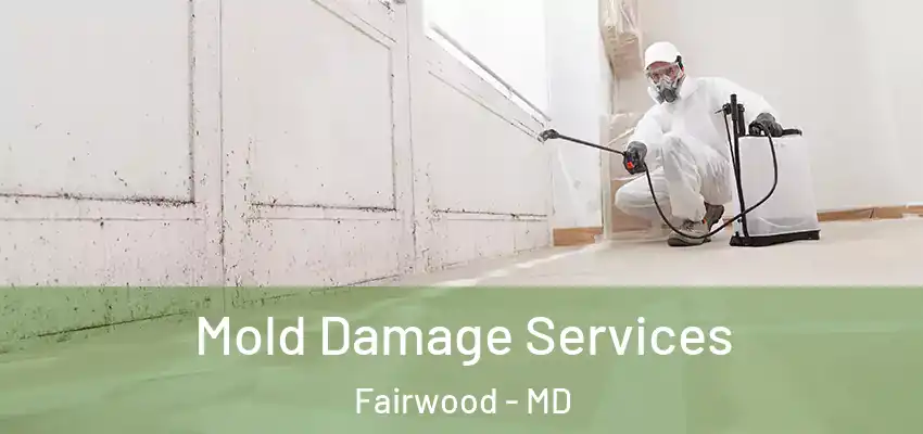 Mold Damage Services Fairwood - MD