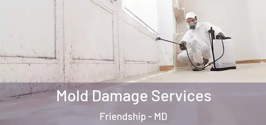 Mold Damage Services Friendship - MD