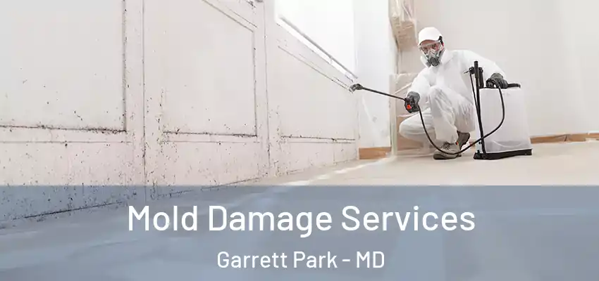 Mold Damage Services Garrett Park - MD