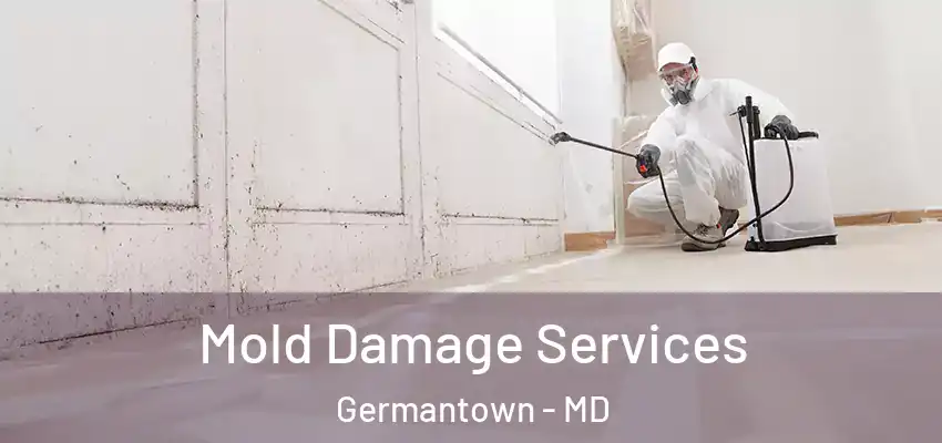 Mold Damage Services Germantown - MD