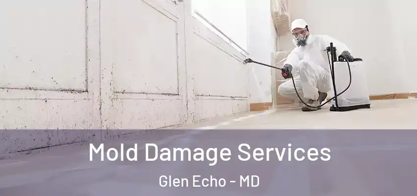 Mold Damage Services Glen Echo - MD